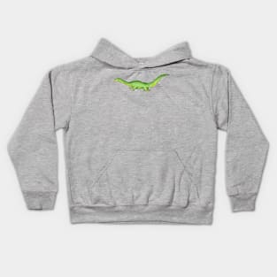 Pronto Bronto Kids Hoodie